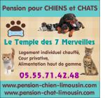 Pension pour chiens en haute-vienne limousin 87 - Miniature