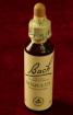 Fleur de bach 20ml - Miniature