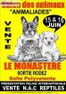 Salont du chiot et du chaton 15 et 16 juin rodez - Miniature