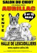 Salon animalier 9 et 10 mai aurillac - Miniature