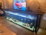 Aquarium de 600l - Miniature